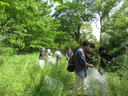 f:id:sugama-stop:20150511144900j:image:left