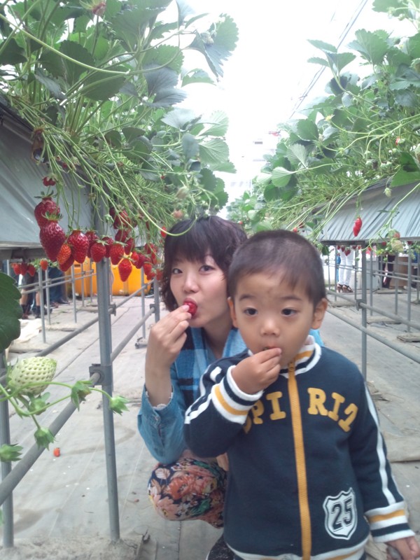 f:id:sugamoto:20140507142506j:image:w360 f:id:sugamoto:20140507142506j:image:w360
