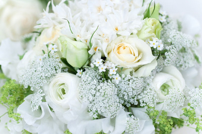 f:id:suganne:20191110223020j:plain f:id:suganne:20191110223020j:plain
