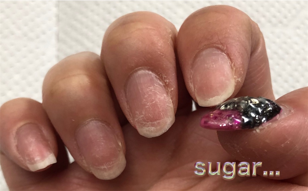 f:id:sugar0222:20240421130439j:image