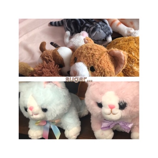 f:id:sugar0222:20240720151616j:image