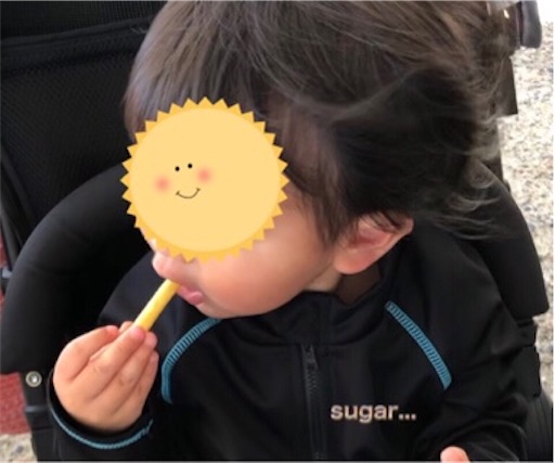 f:id:sugar0222:20240803084355j:image