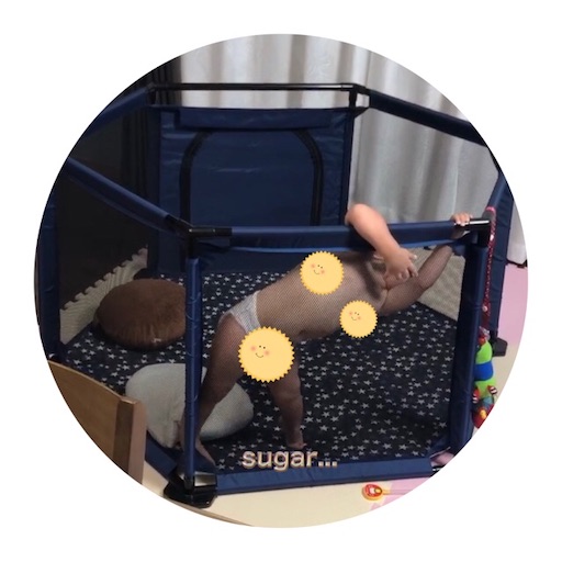 f:id:sugar0222:20240911162509j:image