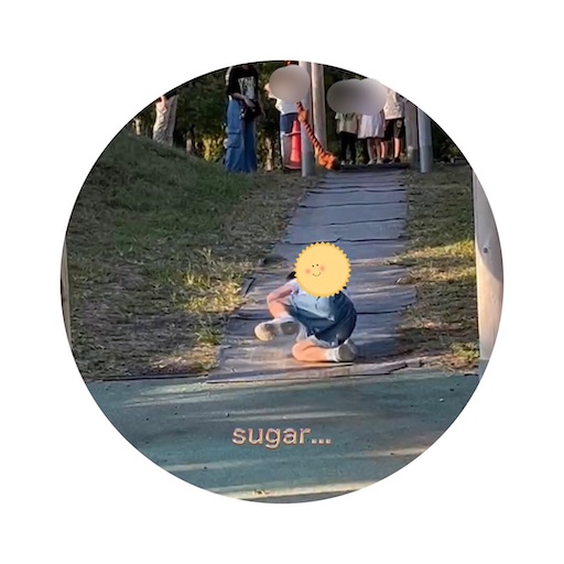 f:id:sugar0222:20241013223930j:image