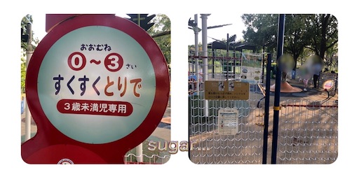 f:id:sugar0222:20241013224042j:image