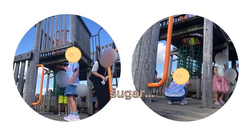 f:id:sugar0222:20241013224413j:image
