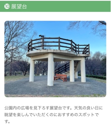 f:id:sugar0222:20241013225158j:image