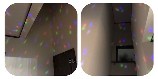f:id:sugar0222:20241202145550j:image