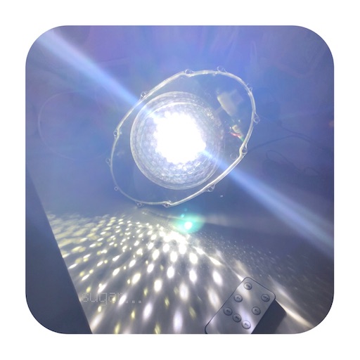 f:id:sugar0222:20241202145617j:image