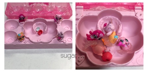 f:id:sugar0222:20250110115004j:image
