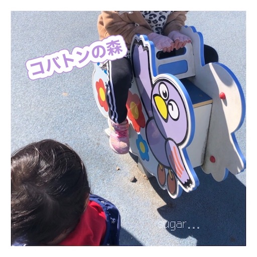 f:id:sugar0222:20250225154801j:image