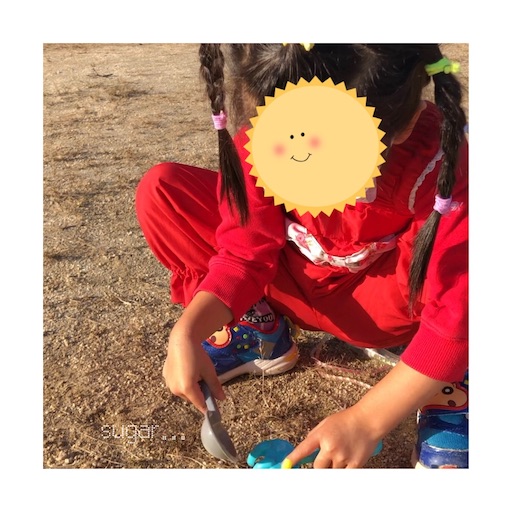 f:id:sugar0222:20250320205307j:image