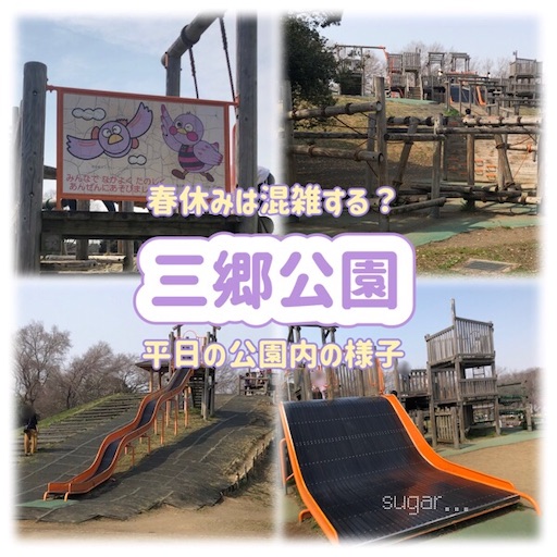 f:id:sugar0222:20250326164357j:image
