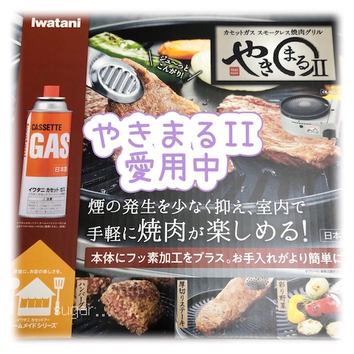 f:id:sugar0222:20250401155951j:image