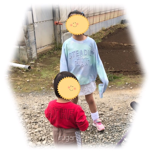 f:id:sugar0222:20250407180226j:image