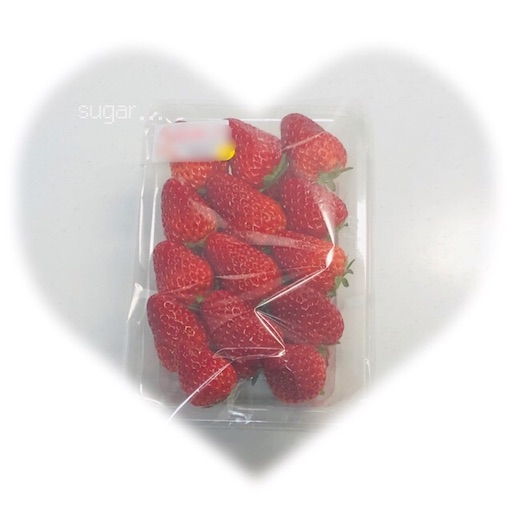 f:id:sugar0222:20250407191503j:image
