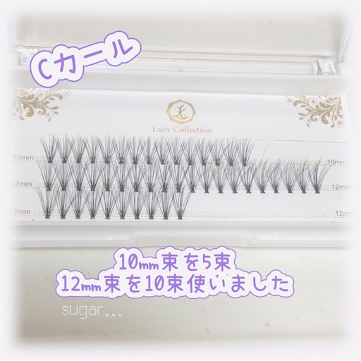 f:id:sugar0222:20250411133031j:image