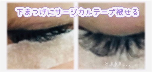 f:id:sugar0222:20250411133216j:image