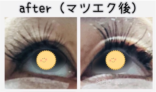 f:id:sugar0222:20250411151006j:image