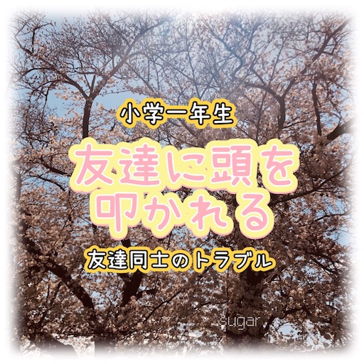 f:id:sugar0222:20250424152028j:image