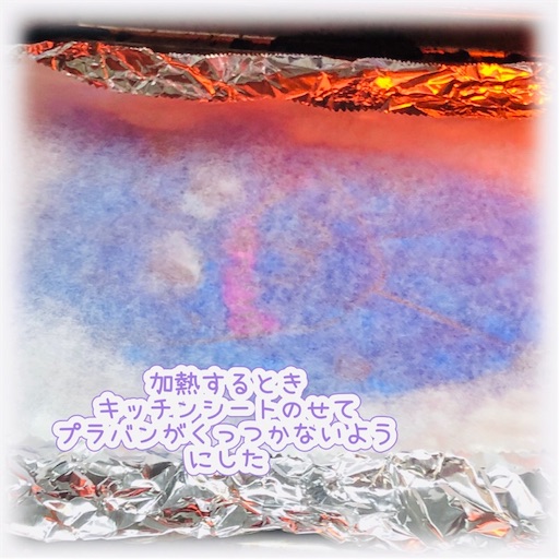 f:id:sugar0222:20250429155106j:image
