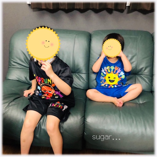 f:id:sugar0222:20250516091234j:image