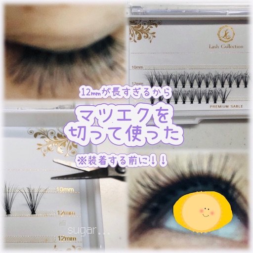 f:id:sugar0222:20250528165414j:image