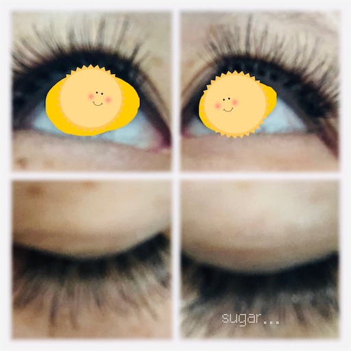 f:id:sugar0222:20250528165621j:image