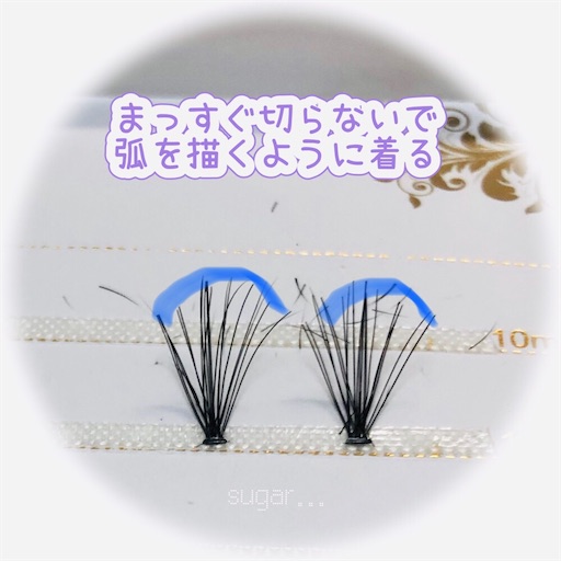 f:id:sugar0222:20250528165835j:image