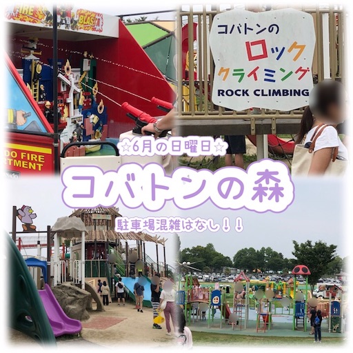 f:id:sugar0222:20250612154020j:image
