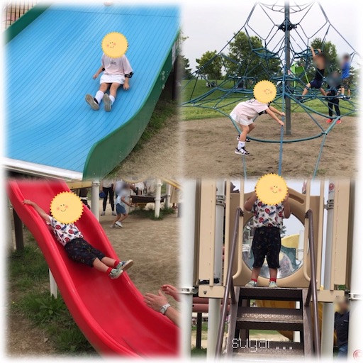 f:id:sugar0222:20250612154230j:image