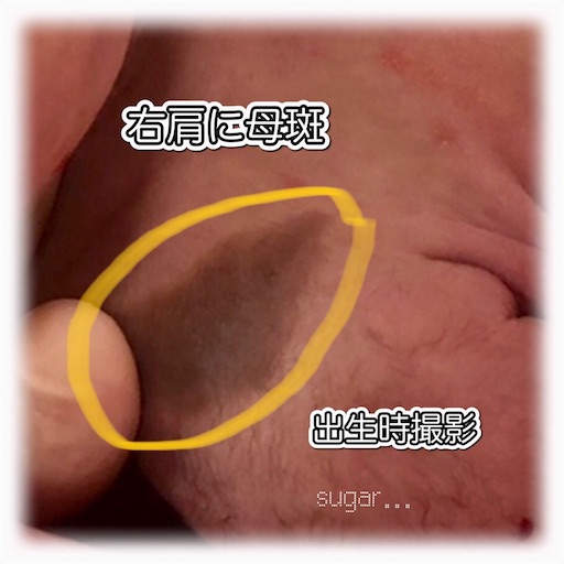 f:id:sugar0222:20250703104429j:image