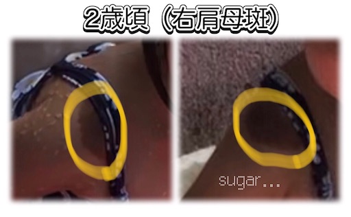 f:id:sugar0222:20250703105051j:image
