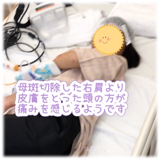 f:id:sugar0222:20250811145116j:image