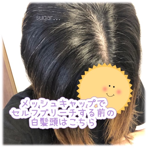 f:id:sugar0222:20250817114607j:image