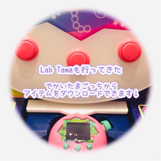 f:id:sugar0222:20250904122136j:image