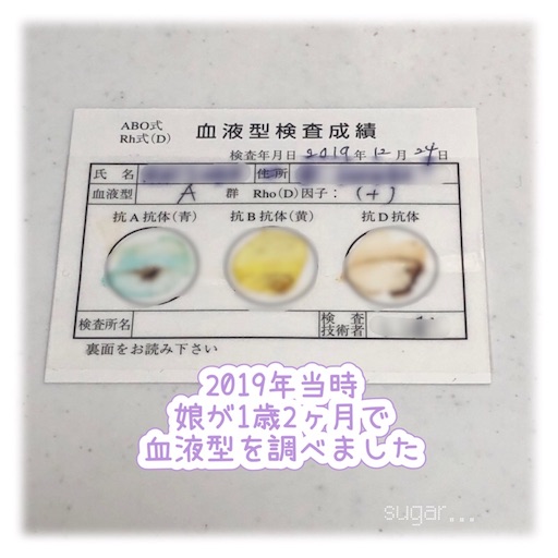 f:id:sugar0222:20251002175228j:image