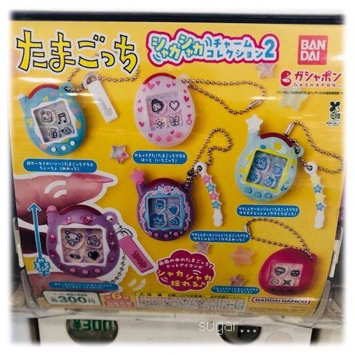 f:id:sugar0222:20251129180243j:image