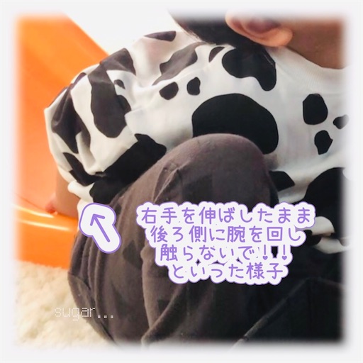 f:id:sugar0222:20251204145021j:image