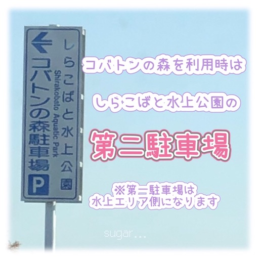 f:id:sugar0222:20251210161508j:image