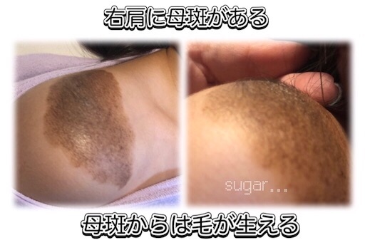f:id:sugar0222:20251218175146j:image