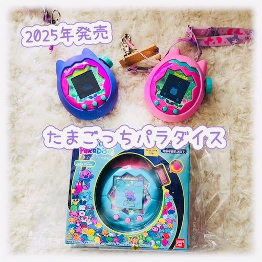 f:id:sugar0222:20260112121419j:image