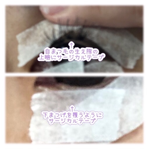 f:id:sugar0222:20260121154751j:image