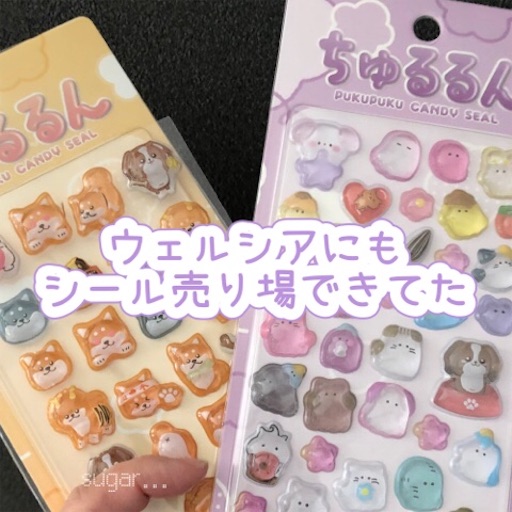 f:id:sugar0222:20260127180621j:image