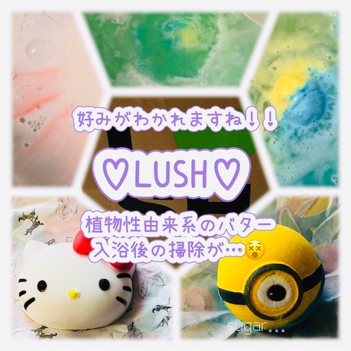 f:id:sugar0222:20260214143810j:image f:id:sugar0222:20260214143810j:image