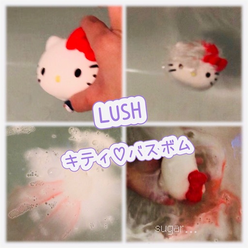 f:id:sugar0222:20260214143909j:image f:id:sugar0222:20260214143909j:image