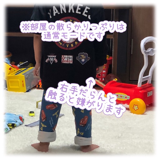 f:id:sugar0222:20260222161335j:image