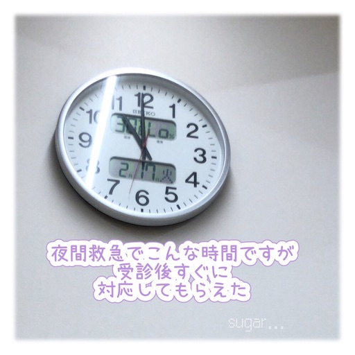 f:id:sugar0222:20260222161703j:image