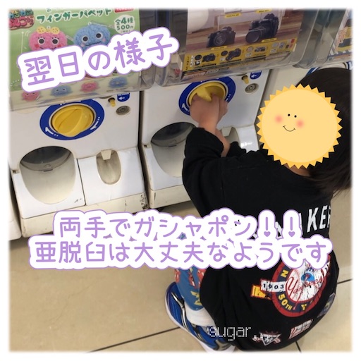 f:id:sugar0222:20260222161749j:image