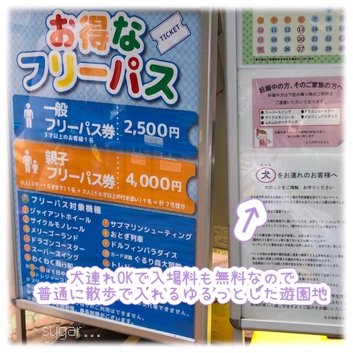 f:id:sugar0222:20260509133201j:image